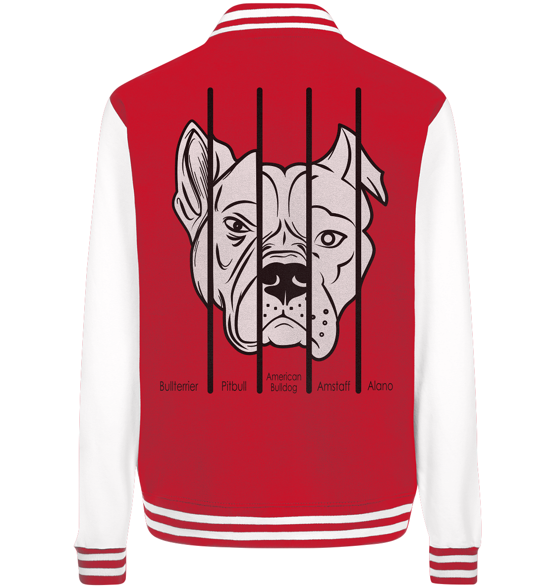 five Dogs| KOLLEKTION | New - College Jacket