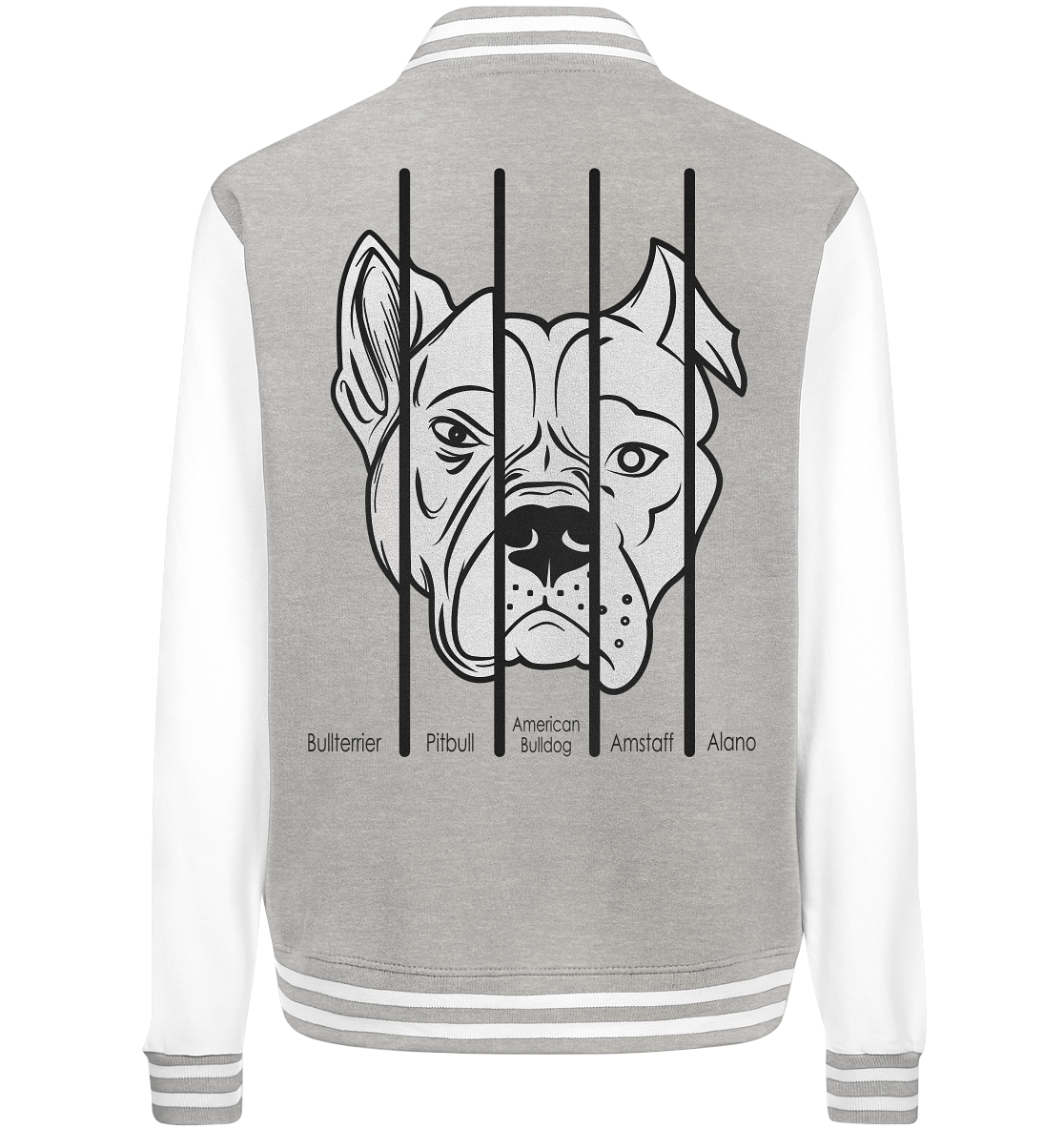 five Dogs| KOLLEKTION | New - College Jacket